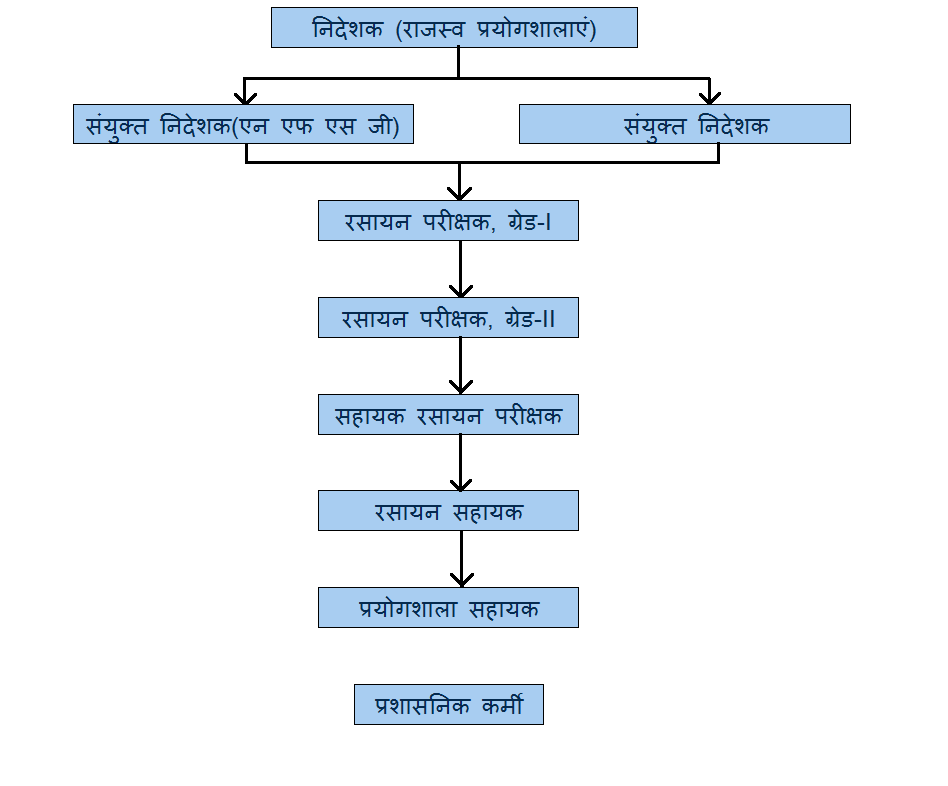 org-structure-hindi.png